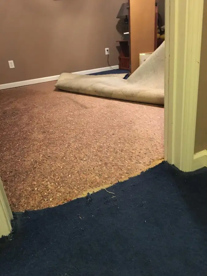 Carpet pad removal revealing water damage during Drying & Dehumidification in Lowell